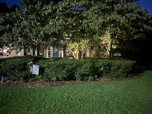 Hayes Signature Lighting