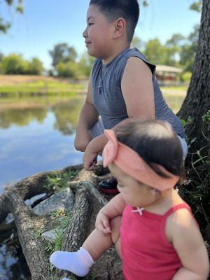 Ashley Memorial Dog Park