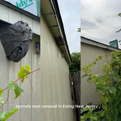 Universal Pest Control