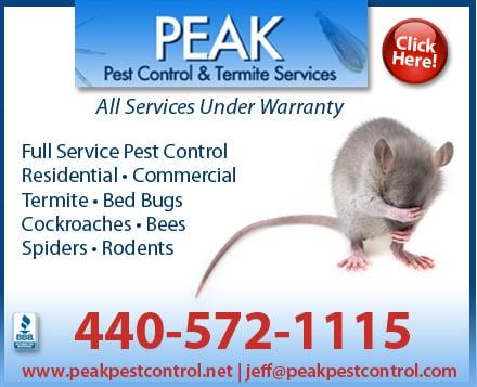 Peak Pest Control and Termite Services