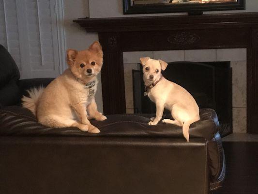 Payne Ranch Veterinary Clinic