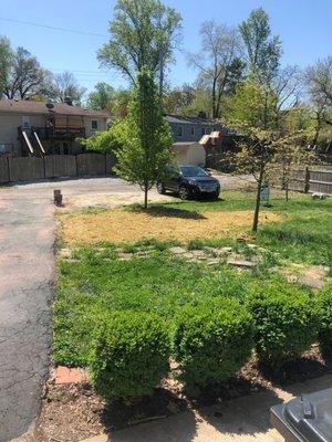 Area they dug up to repair sewer