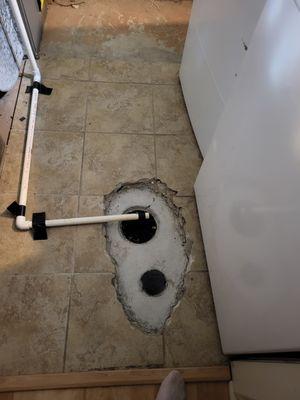 Whipple Service Champions