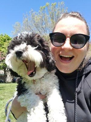 Out-U-Go Pet Care Services