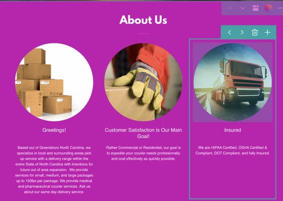 Triad Courier Express