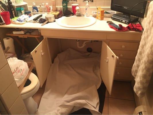 Always clean and prepared.