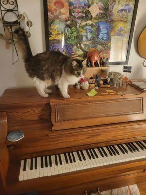 Joseph Escobar Piano