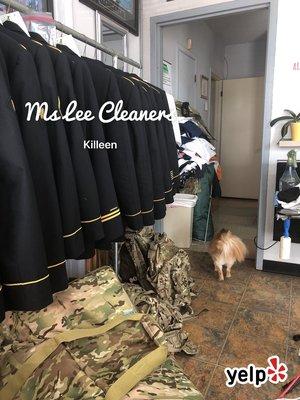 Ms Lee Cleaners
