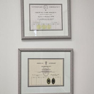 Interlachen Animal Hospital