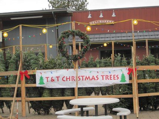 Local Family, Oregon Trees, Making Donations to Local Youth and Families