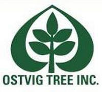 Ostvig Tree