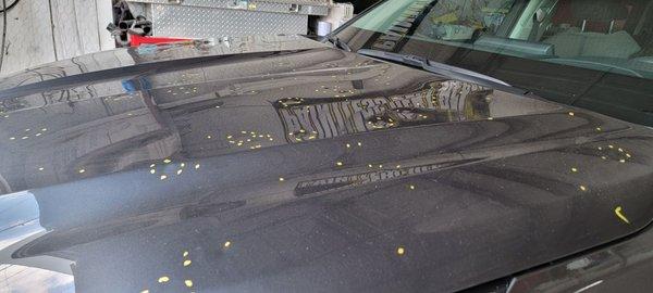 Hood with a lot of oversize!