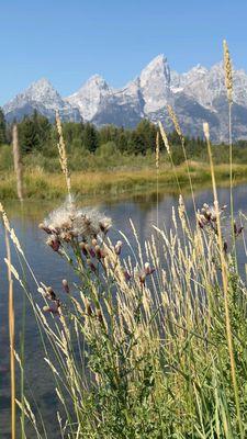 Schwabacher Landing