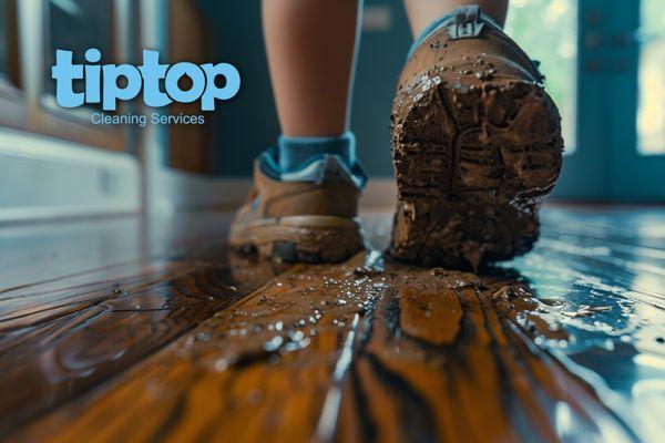 Tip Top Cleaning Services