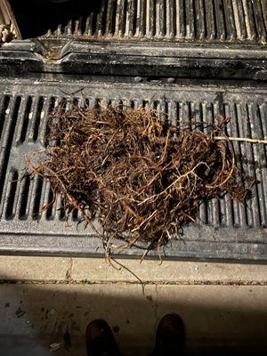 Chula Vista Rooter Sewer and drain cleaning service