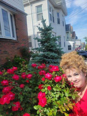 America Eagle Market