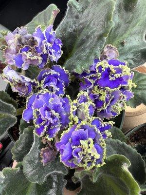 Miner's Ace Hardware