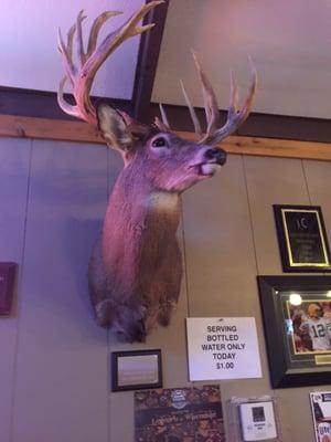 Big buck at the buck snort