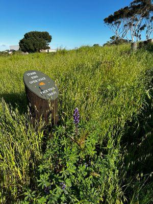 Starr King Elementary School