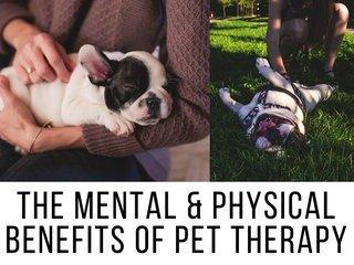 Trinity Counseling Services