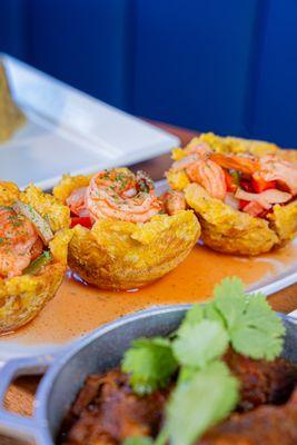 Lucas II The Dominican Spot