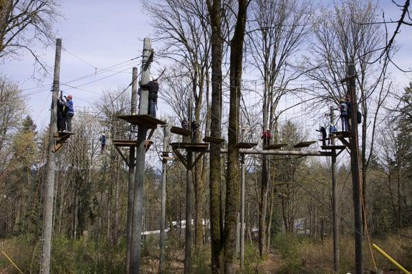The Bellevue Course in winter. Come see it in the summer.