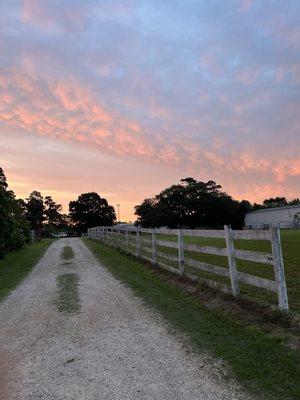 Madilynns Boarding & Grooming