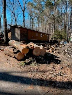 KND Tree Service & Landscaping