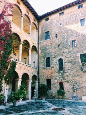 Chloe Johnston Experiences