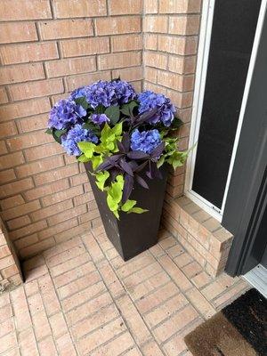 Happy Flowerbeds and Pots