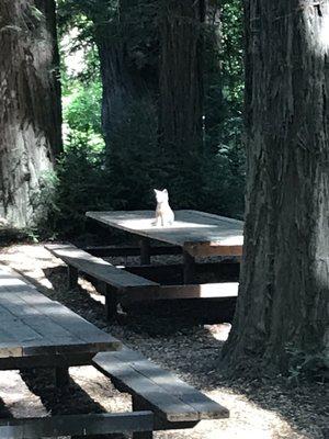 Sonoma County Regional Parks