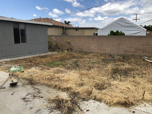 Jimmie's Tree Company