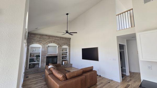 Precision Painting Plus