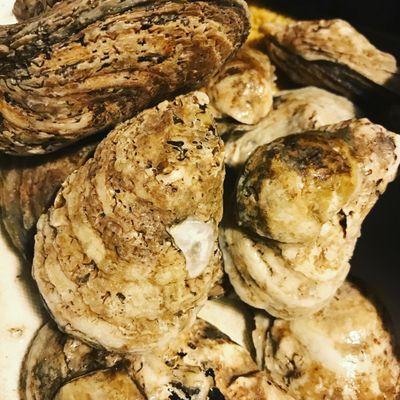 Blue point oysters