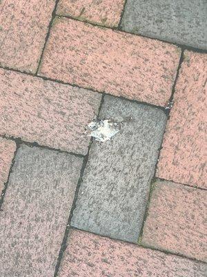 I WAS ASSAULTED ON THE FUCKING BUS AND SPAT UPON IN ALLEGED DOWNTOWN