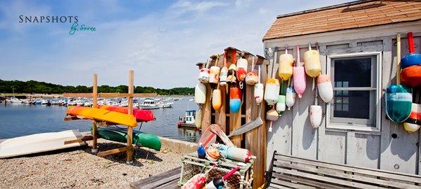 Pamela Bates- Coldwell Banker Realty