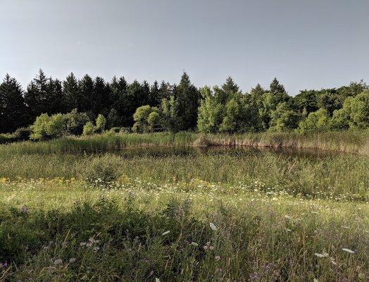 Bare Hill Unique Area