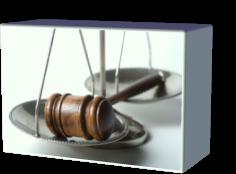 Texas Litigation Services