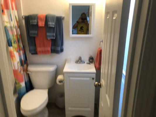 Newly renovated bath