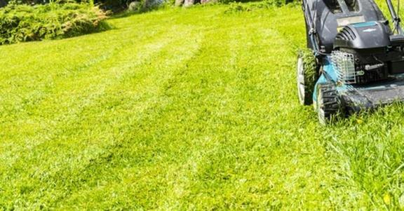 Southern Cuts Landscaping Services