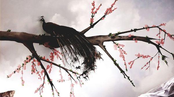 Sacramento Window Painting