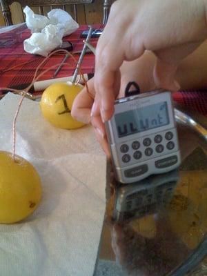 Science Experiment. Lemon powered clock!