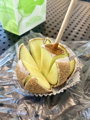 Rocky Mountain Chocolate Factory