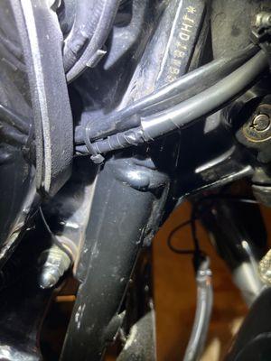 Lumberjack Harley-Davidson