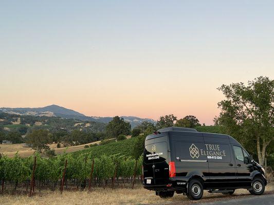 True Elegance Walnut Creek Limousines & Party Buses