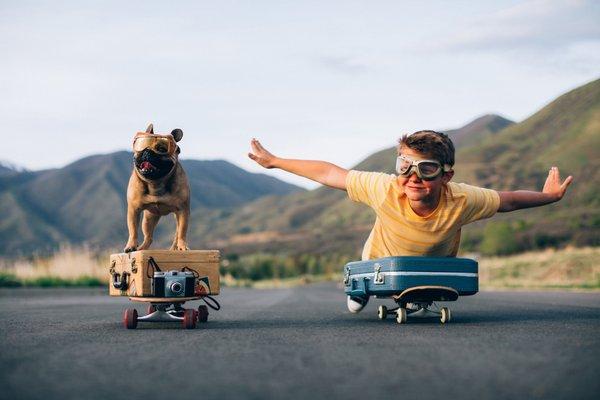 Barks and Recreation
