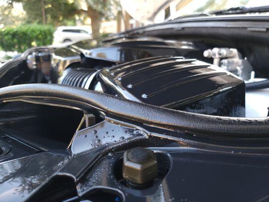 Gotham's Finest Detailing