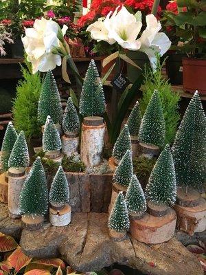 Creekside Garden Center & Landscaping