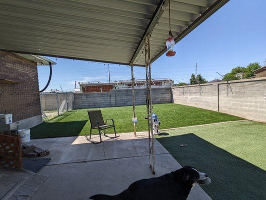 The darker green turf is new 2024. The lighter color turf we installed ourselves 4 years ago.