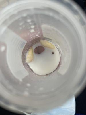 University of Washington School of Dentistry